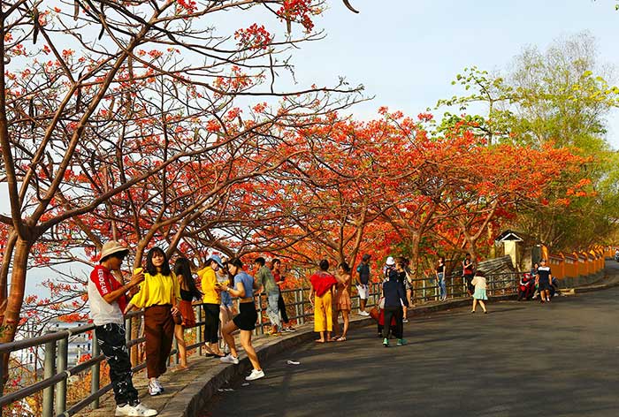 ngon-hai-dang-vung-tau-diem-ngam-hoang-hon-4